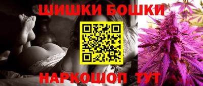хмурый Кингисепп